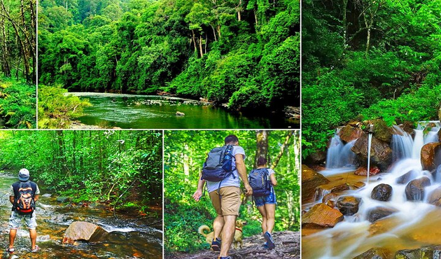 Sinharaja Forest Reserve